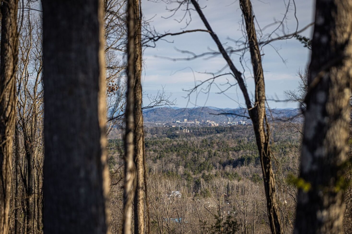 View of downtown Asheville from Lot 912 in The Ramble Biltmore Forest.