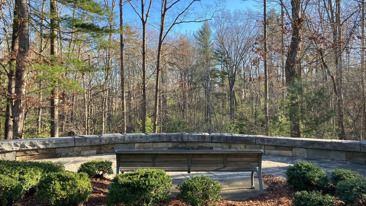 Forest views in Overlook Park in The Ramble Biltmore Forest in Asheville.
