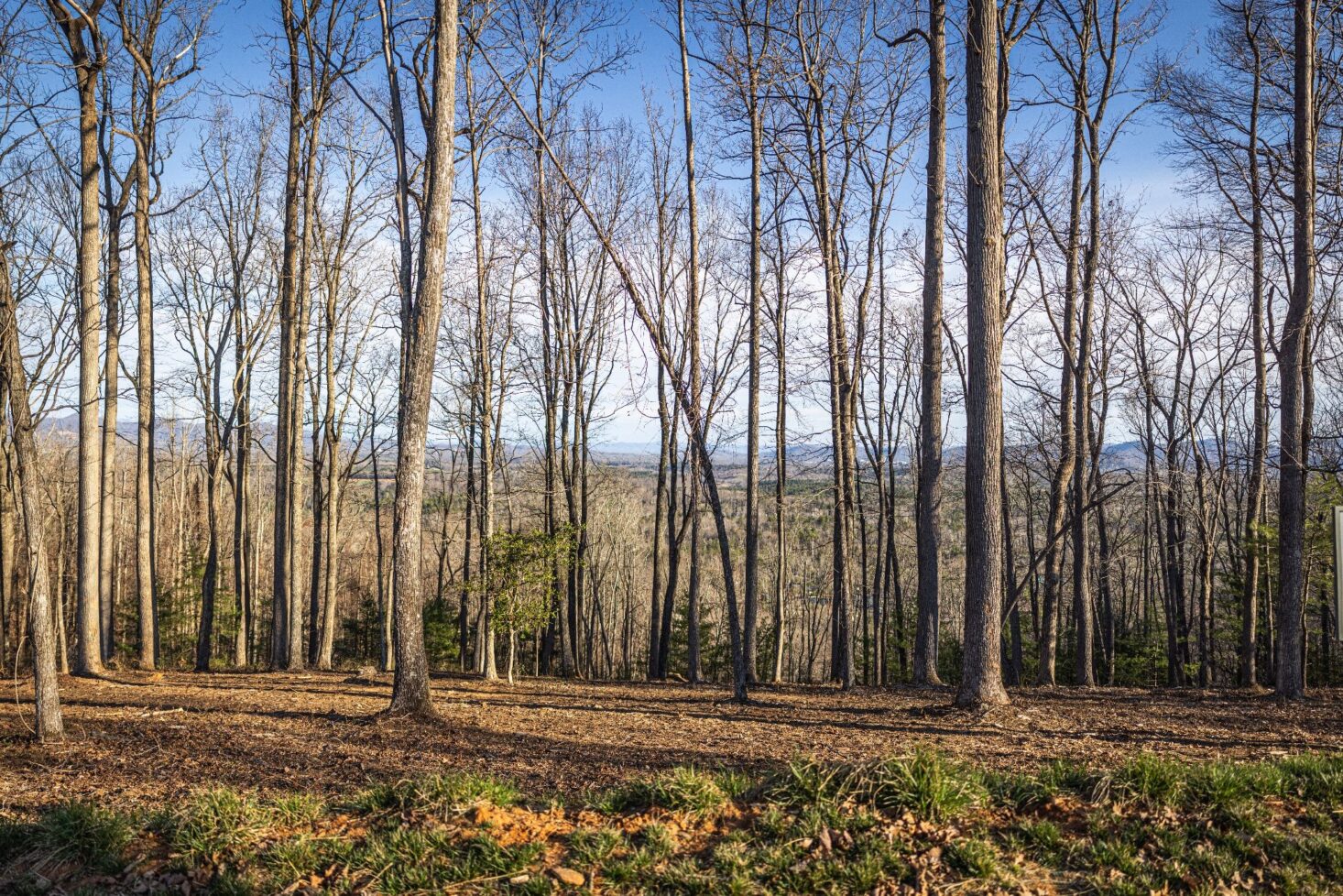 Mountain views from land in Asheville at The Ramble Biltmore Forest.
