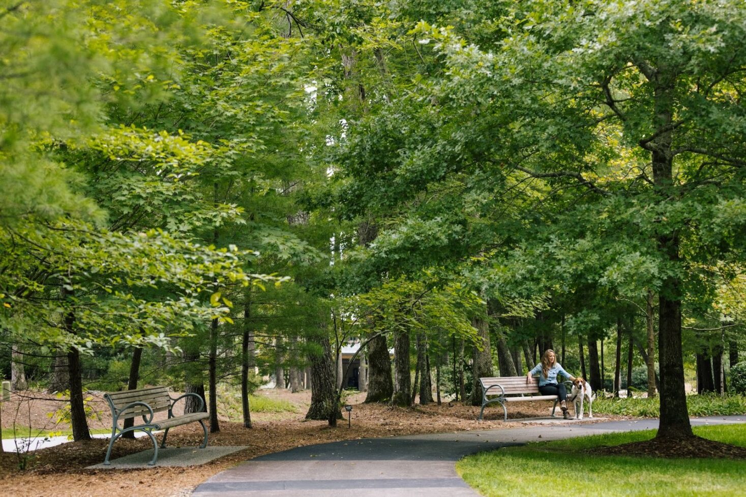 Woman sitting on a bench with a dog on a trail in The Ramble Biltmore Forest.