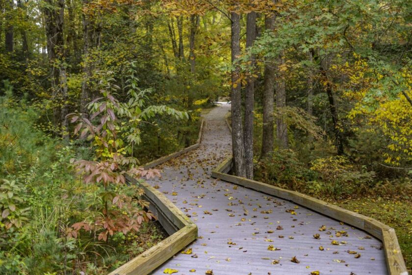 Beautiful Fall Color on Display at The Ramble