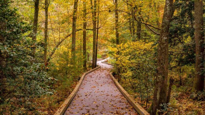 In Rhythm with the Land: Fall at The Ramble in Asheville, NC