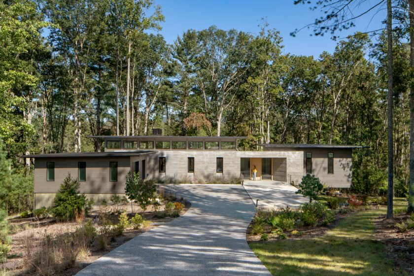 Fern Grove | A Model of Modern Minimalist